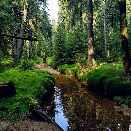 Paseky - Jablonec nad Nisou