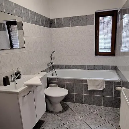 Apartment Paseky -