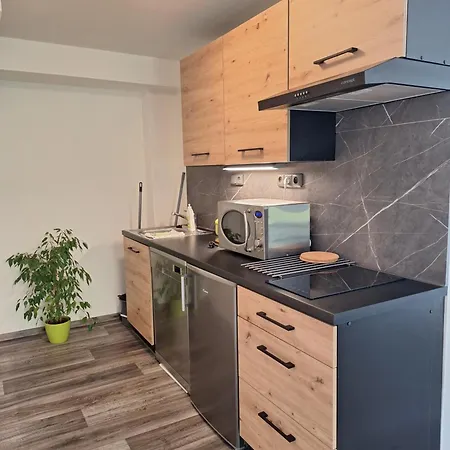 Apartment Paseky -