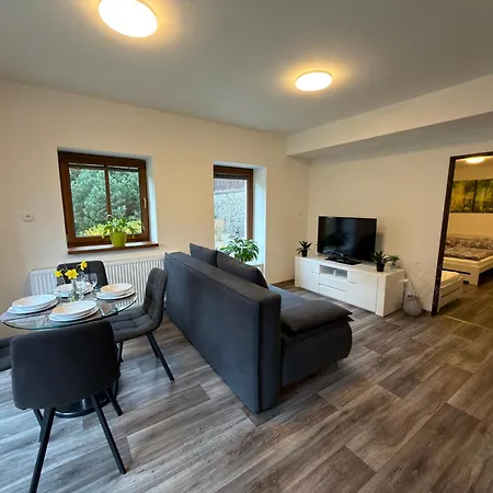 Apartment Paseky -