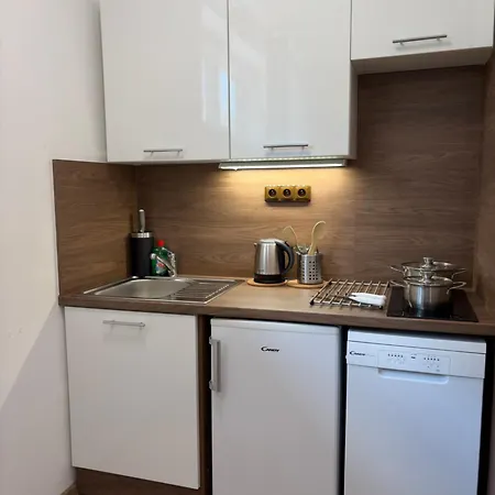 Apartment Paseky - *
