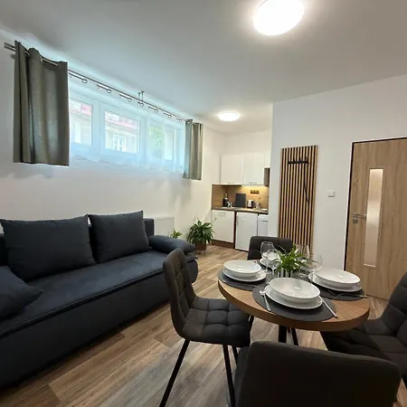 Apartment Paseky -